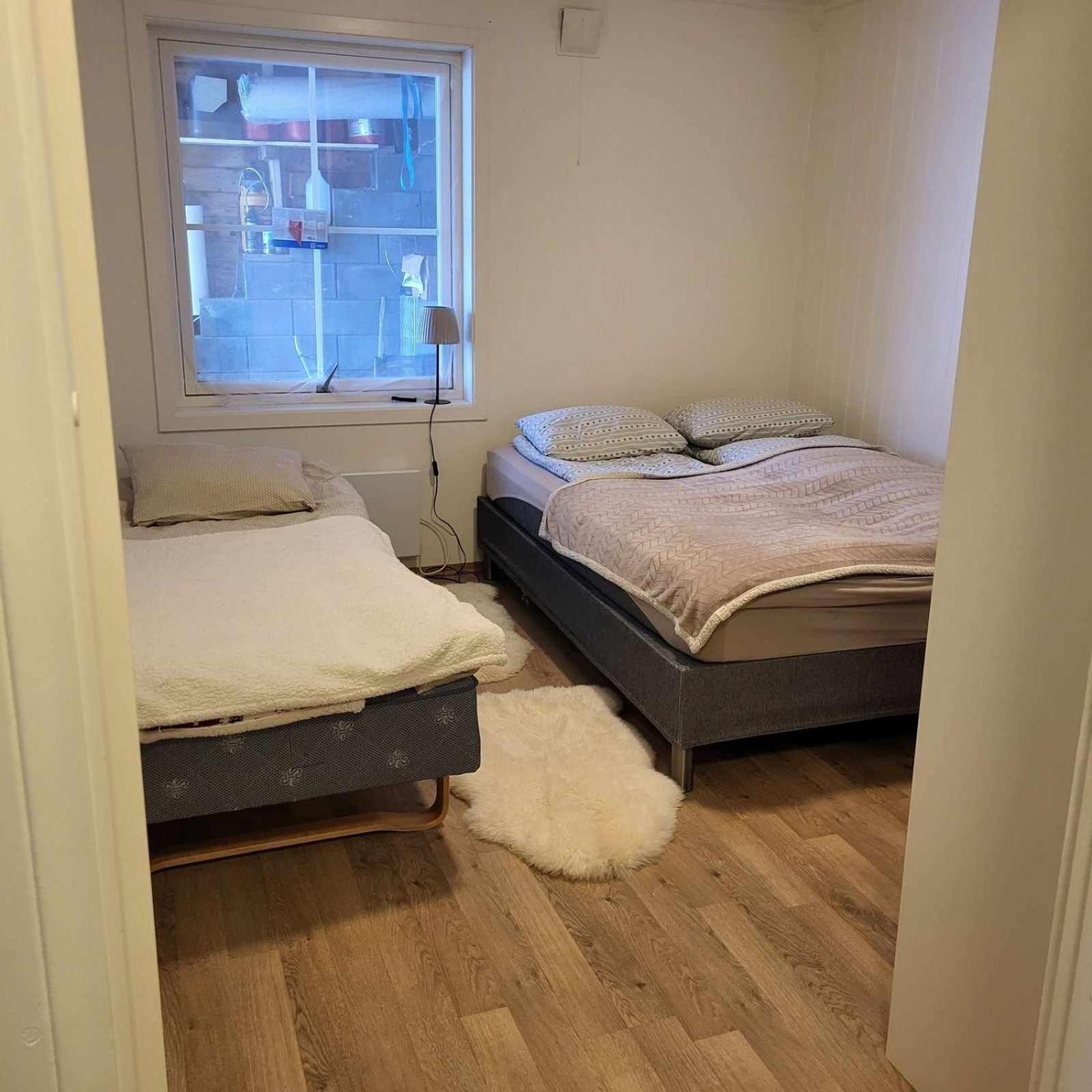 Nydelig Med Naerhet Til Og Nordlys Tromsø